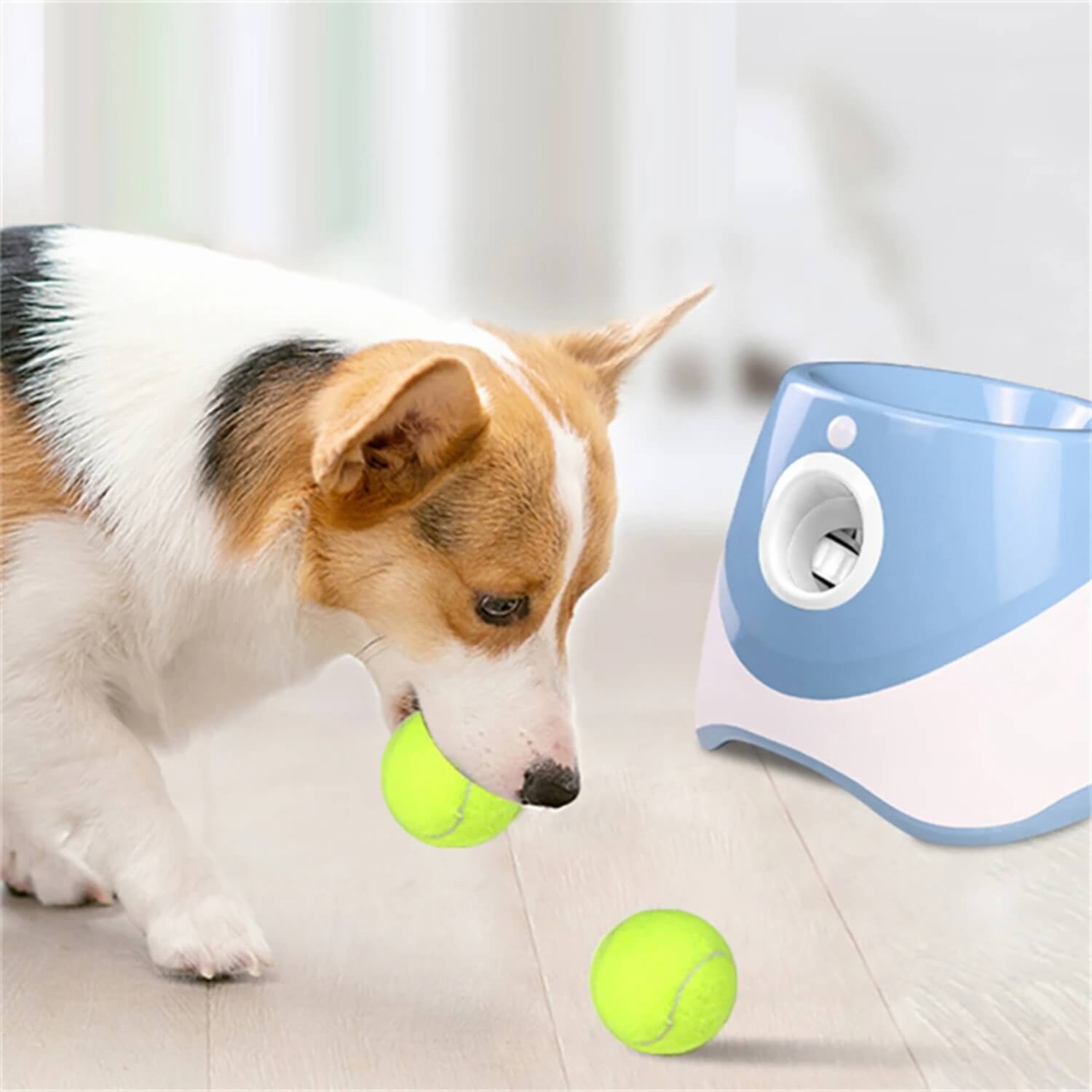 automatische honden ballen werper corgi spelend